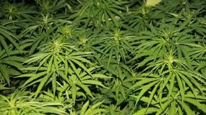 Silahla kendini vurdu